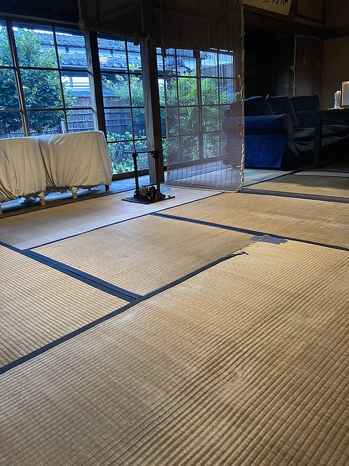 活動報告・今後の予定