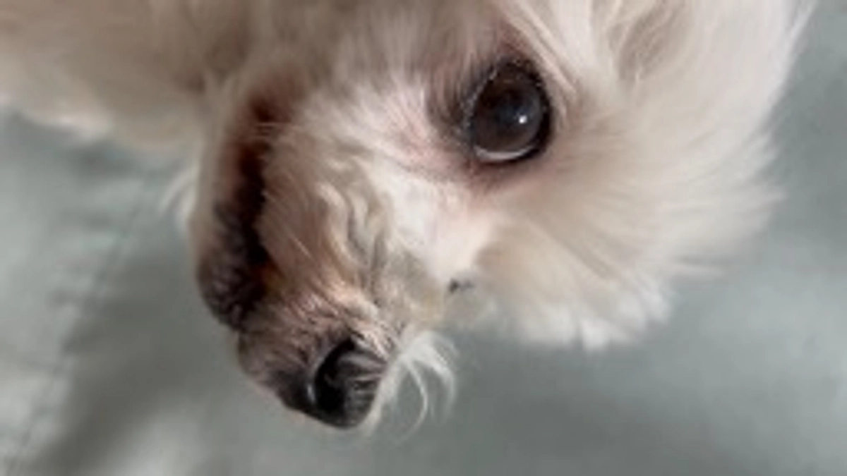 応援ありがとうございました。今後について。