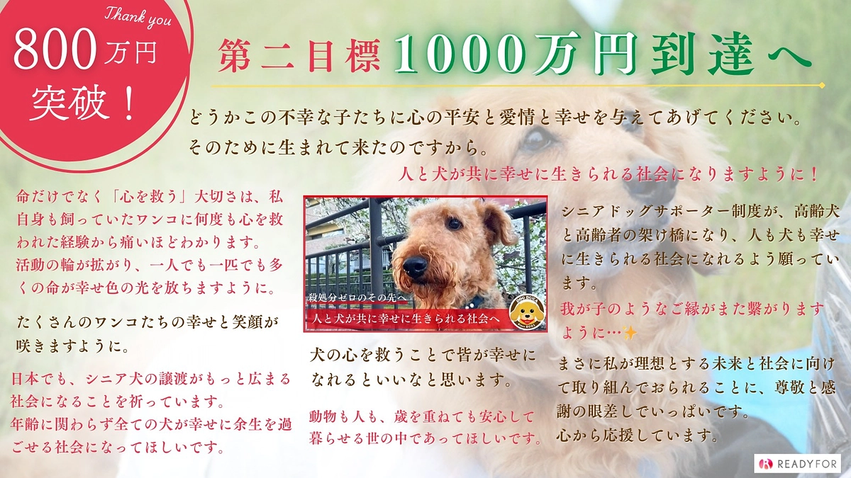 【800万突破！】残り９日！第二目標1,000万円到達へ！この活動が広まってほしい！！
