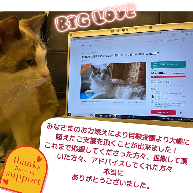 プロジェクトのご支援・応援ありがとうございました！