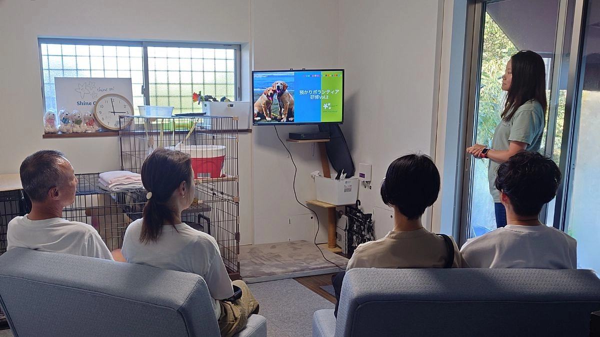 育成レポート２「一時預かりボランティアさんのご活躍」