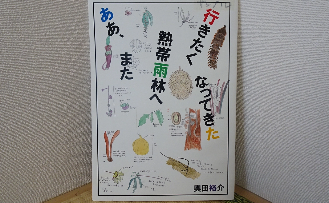 熱帯雨林についての本(寄付をいただいた方のお名前を印刷します)を1冊差し上げます