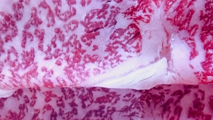 能登半島地震による復興支援の為の特産品のマルシェ販売