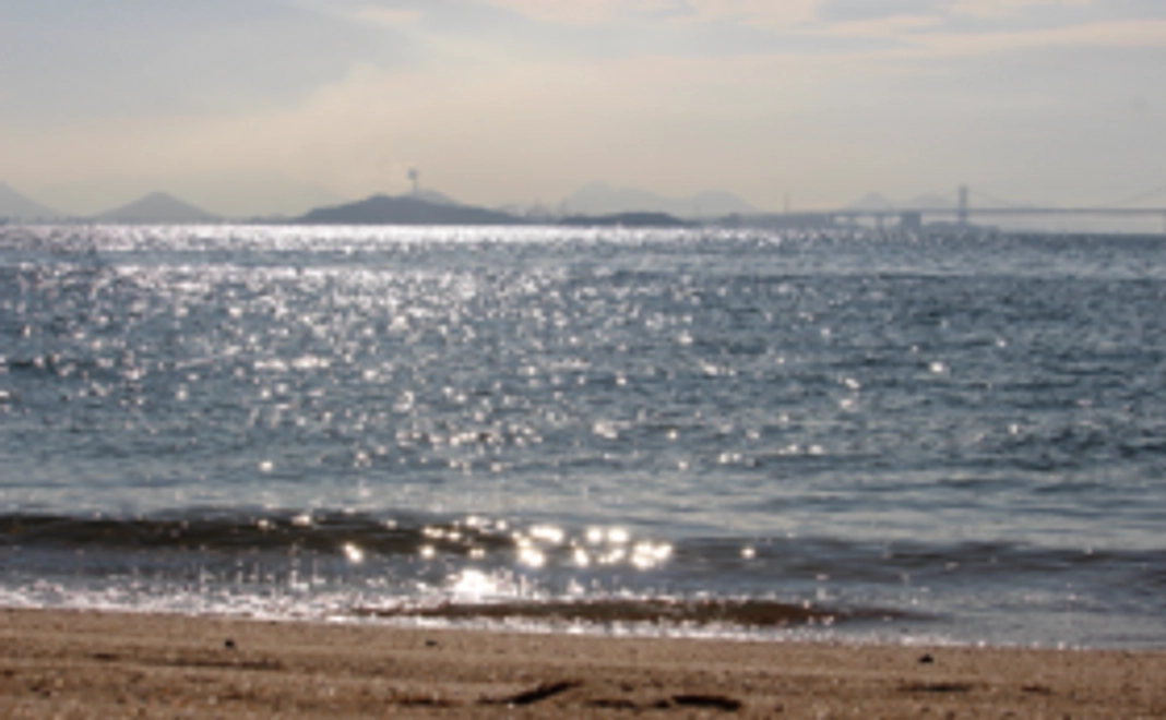 【リターン不要の方向け】全力応援コース