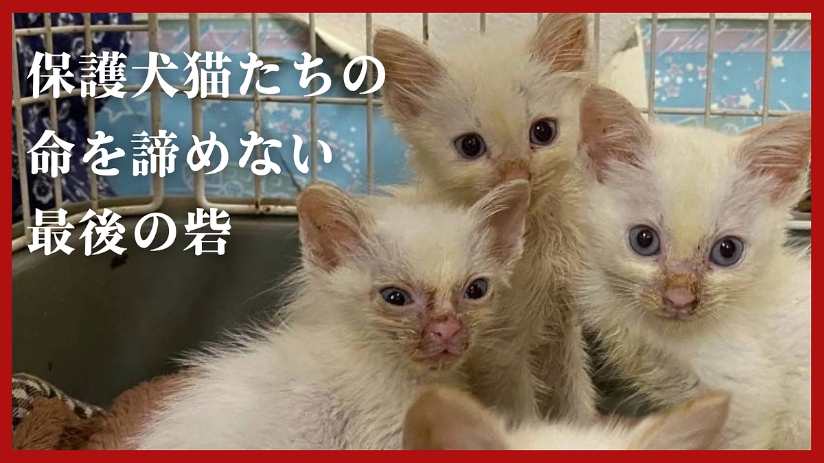 【応援投稿】りあん〜Lien〜の運営継続の危機。支援者の皆さまへご協力のお願い