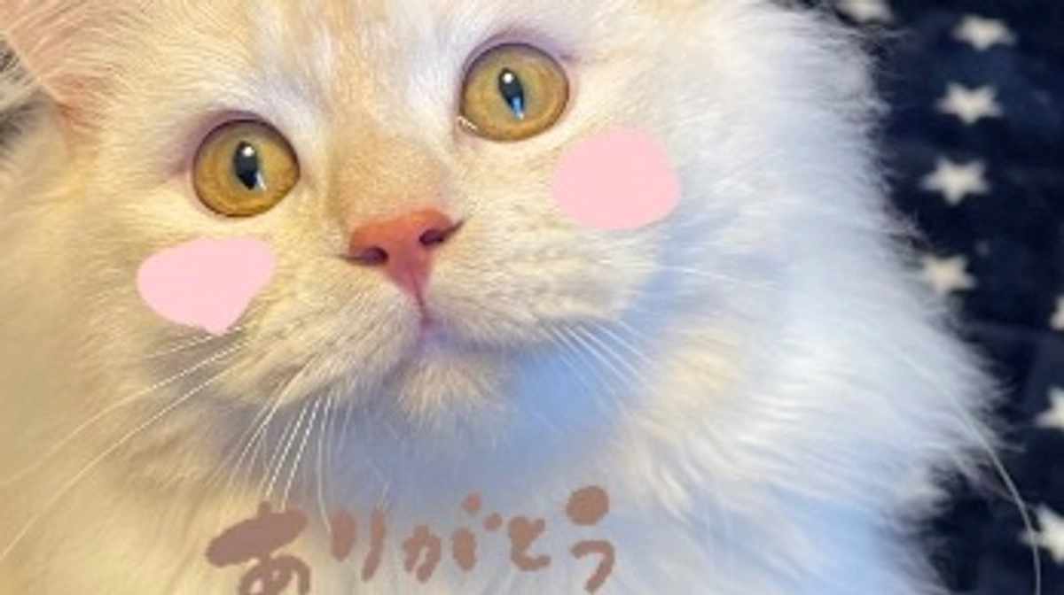 ご支援をいただきました！