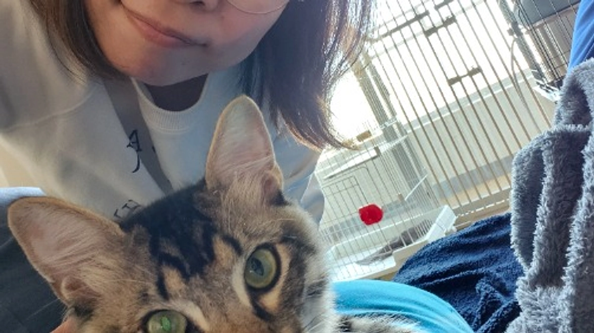 プロジェクト期限まで、あと6日