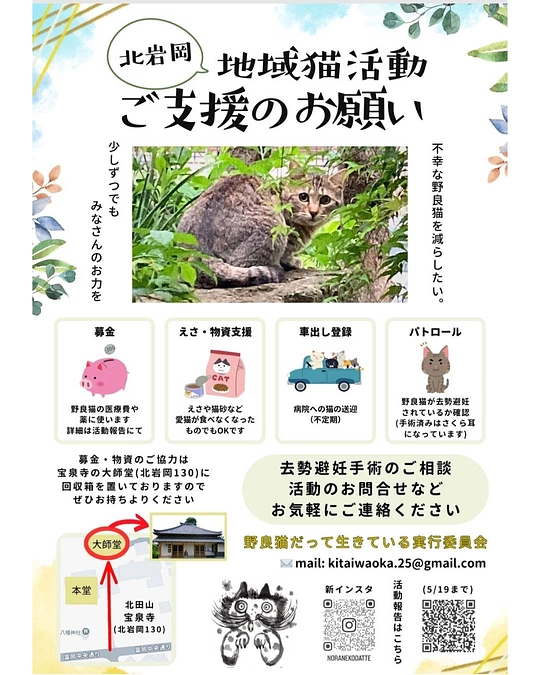 6/14  TNR結果。ありがたいお話と野良猫ありがとうリスト