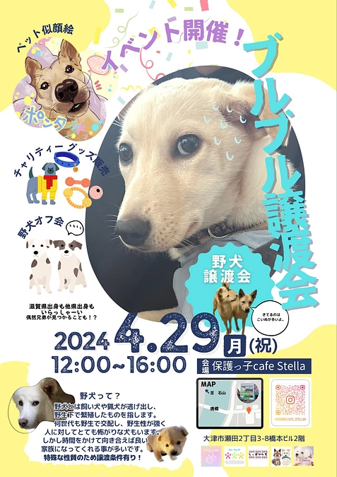 野犬ちゃんイベント✨