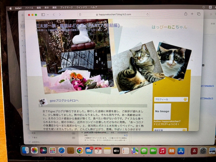 お礼と報告/2025年８月分収支報告