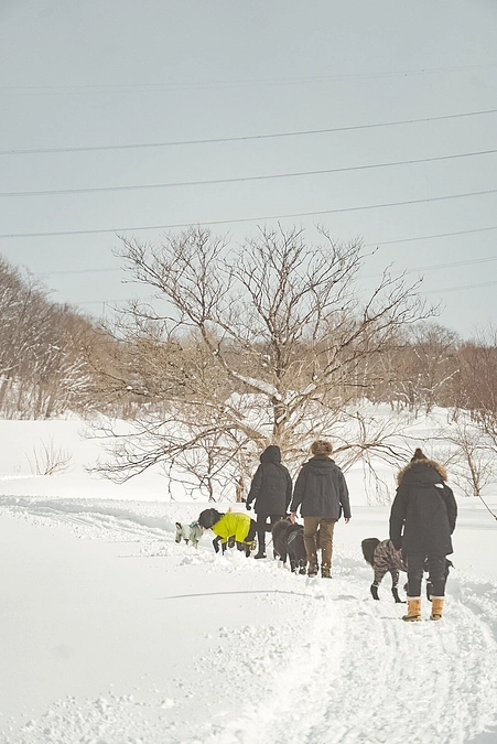 活動報告を伴った新たな　noteページが公開となりました。