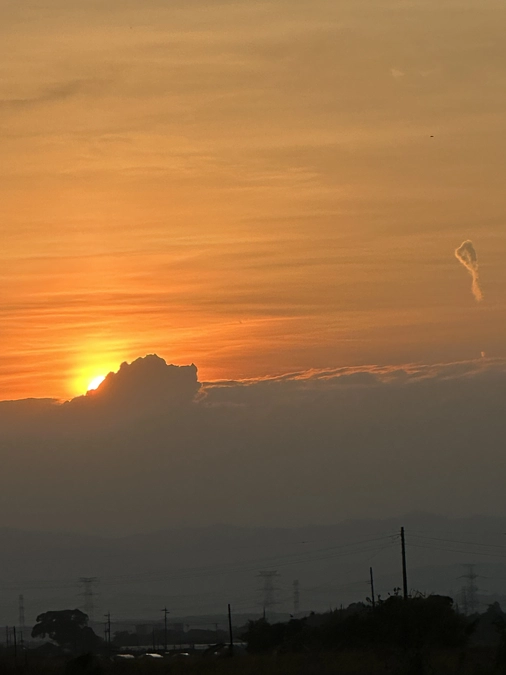 先日多頭飼育崩壊現場へ入りました‼️