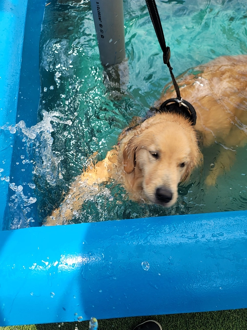 【久しぶりの大運動！！】
