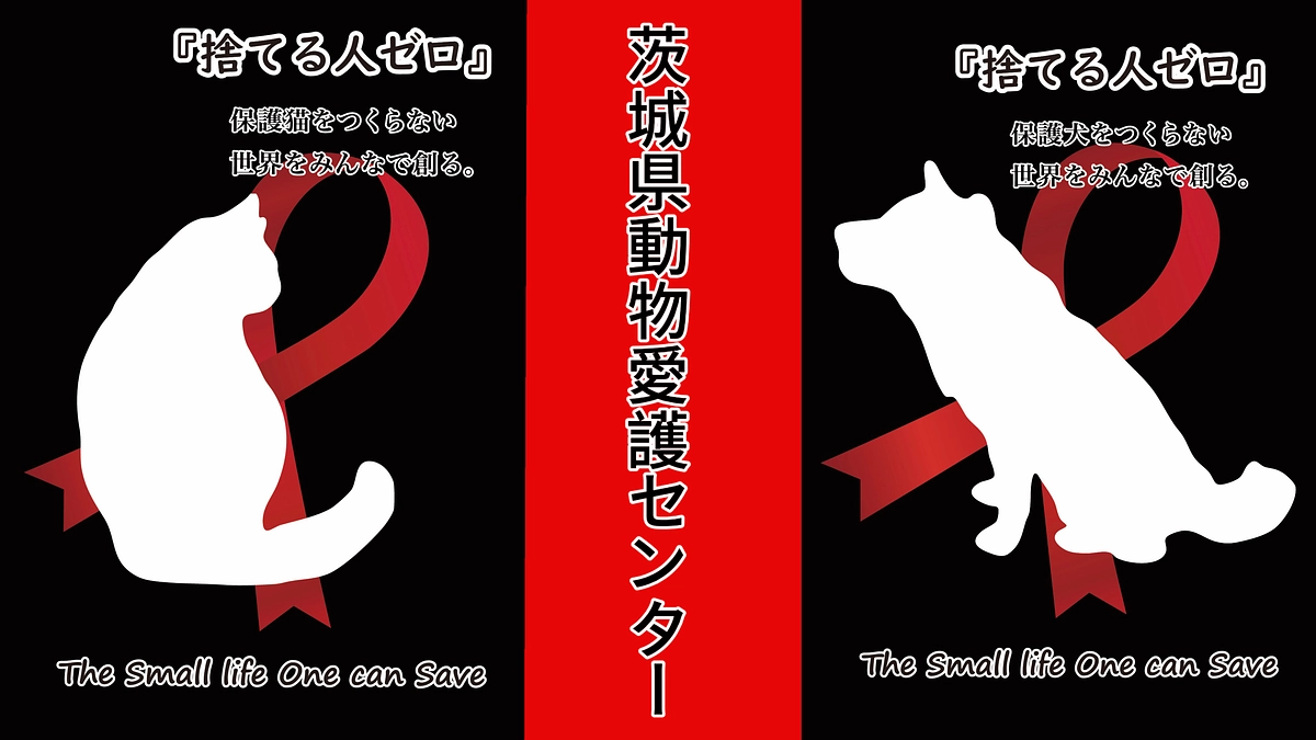 茨城県動物指導センターへ