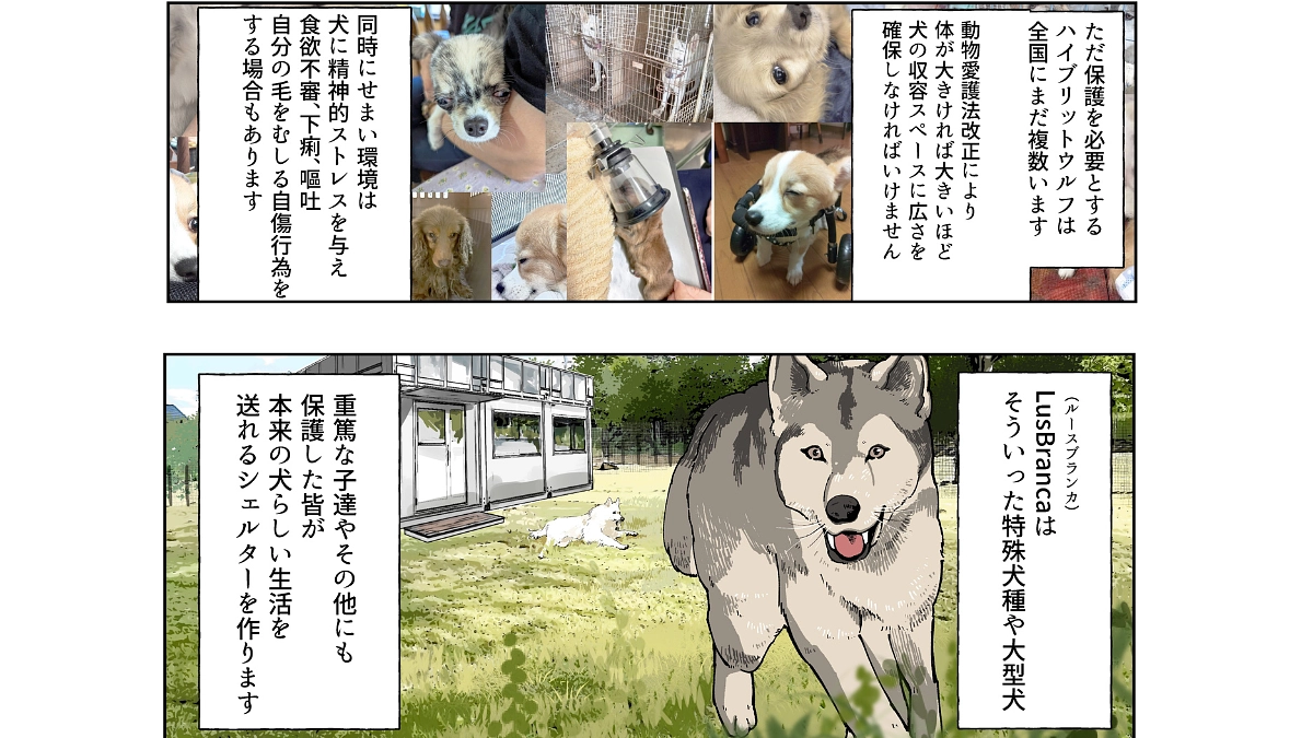 ねとらぼ生物部さんに掲載いただきました！