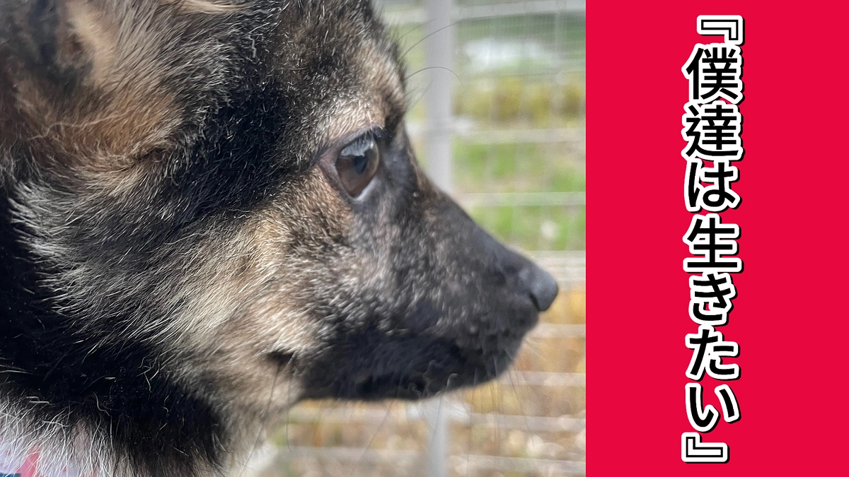 ラストスパートあと1時間半