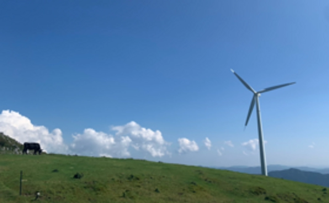 世界でたった1つのポストカード