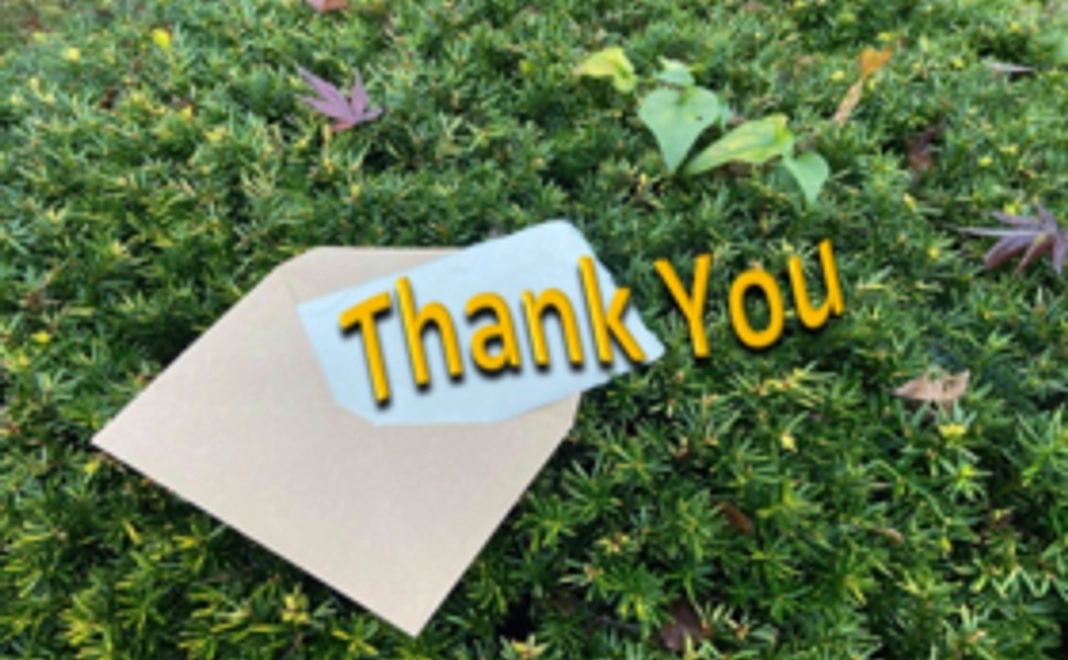 お気持ち応援コース