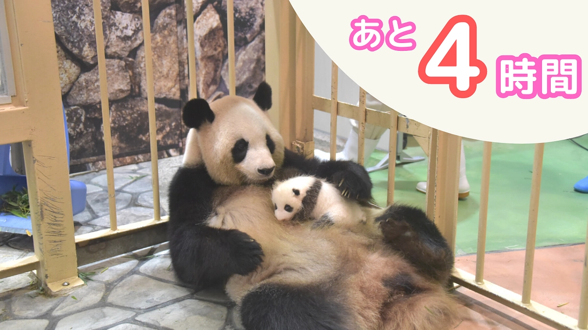 ラストスパートのご協力もお願いします！～プロジェクト終了まで【あと4時間】～