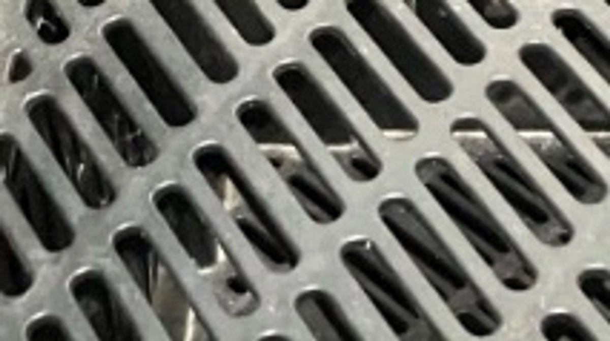 5/11（土）幻のヘビ発見？