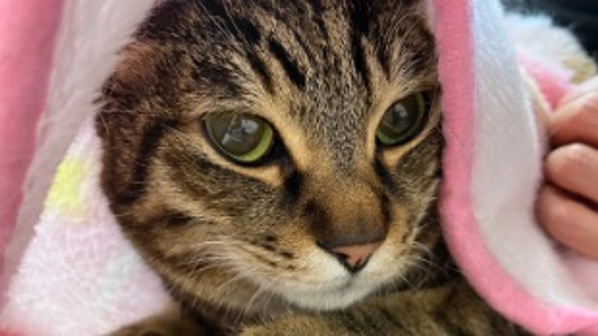 【通院記録】3月30日、4月13日