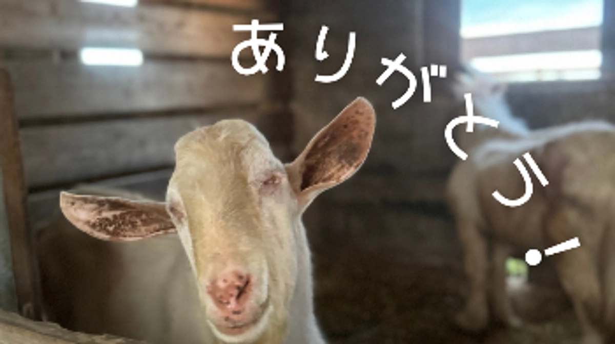 【公開中のプロジェクトが80%に到達しました！】ご支援の御礼と応援コメントのご紹介！