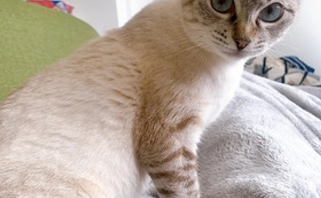 ■頑張って！るなちゃん■感謝のお礼メール＋画像