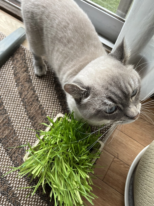 ブログとインスタグラム始めました