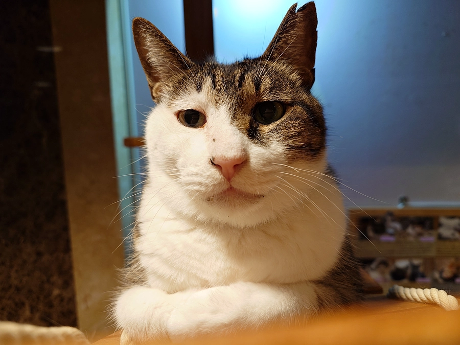 クラウドファンディング終了しました！