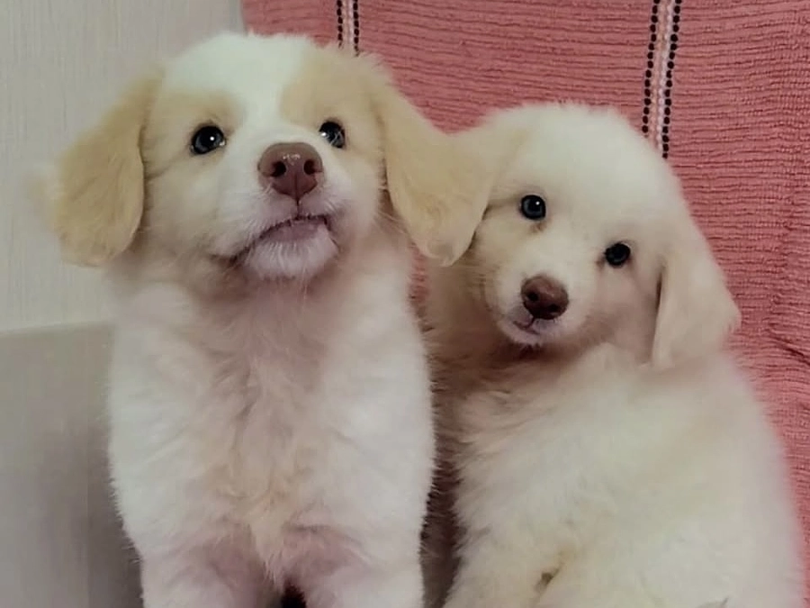 奄美ーず集まれイベントにて