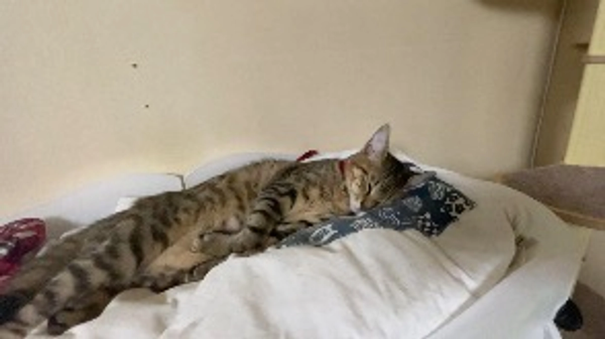 10/14(土)術後13回目の診察