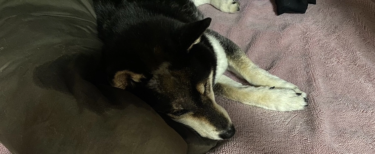 血液検査の結果