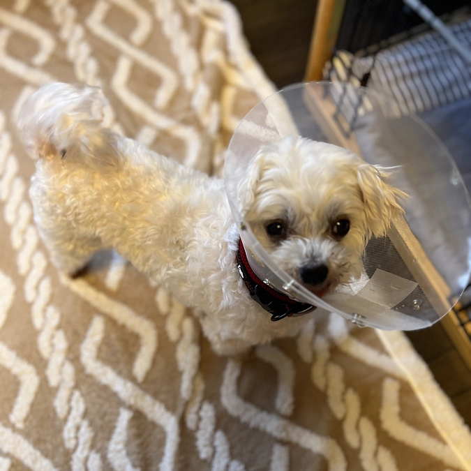 【2024年3月14日（木）のInstagram、ブログより】