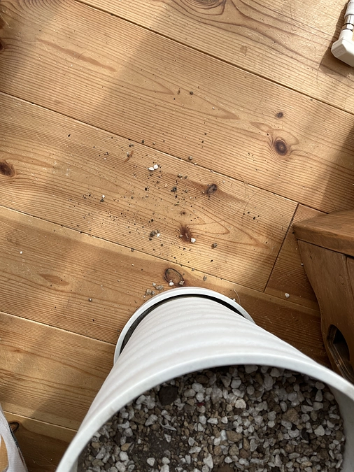 現在も従来の空気清浄機を使っています。