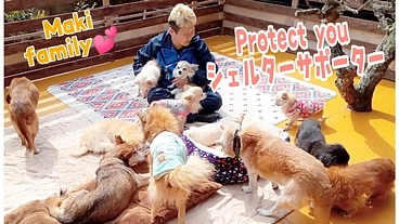 Protectyou～保護犬猫の医療と介護の継続サポーター募集 のトップ画像