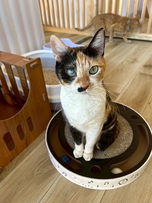 6月23日（月）孤独死現場からの緊急レスキュー