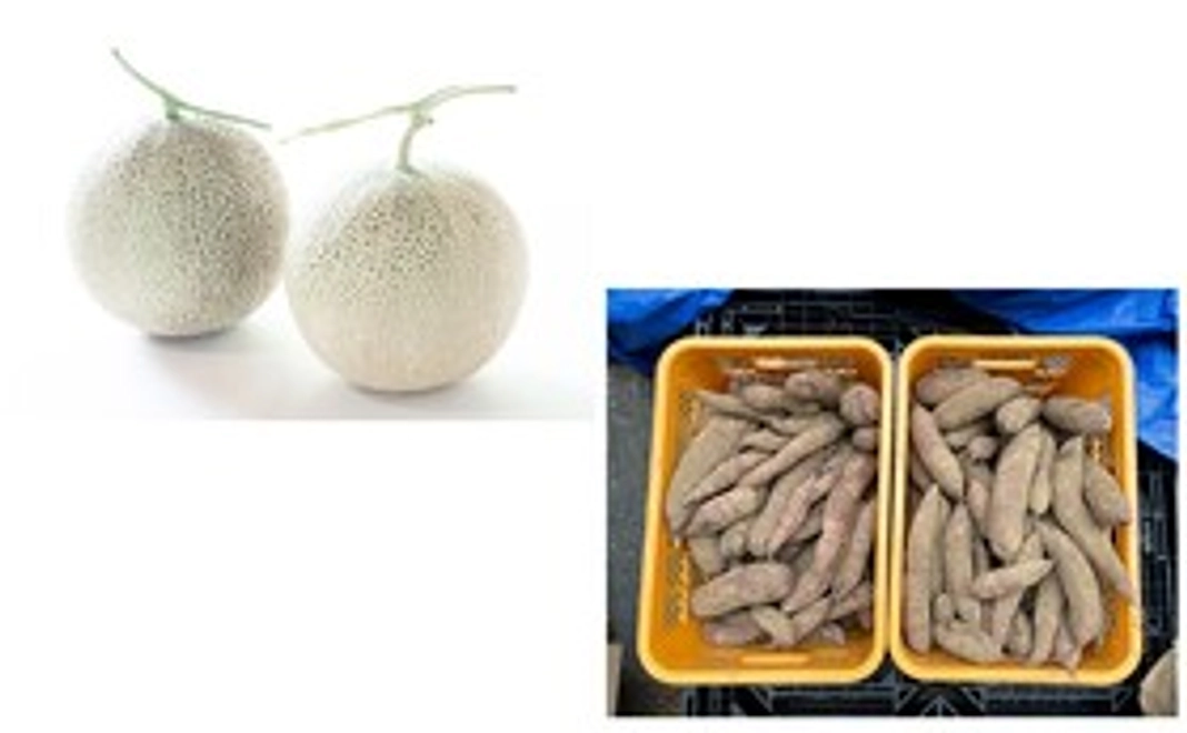 鉾田市産高級メロン５L玉2個＋土付き生さつまいも20Kg＋感謝のメール＋さつまいも農家秘伝「美味しい焼き芋の作り方」
