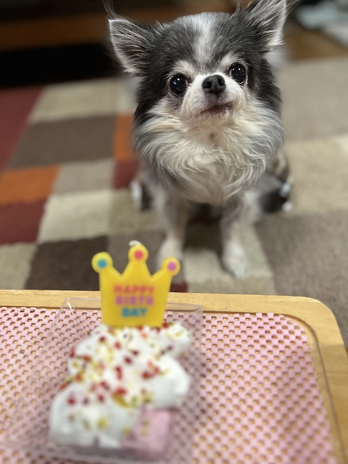 無事にお誕生日を迎えることが出来ました