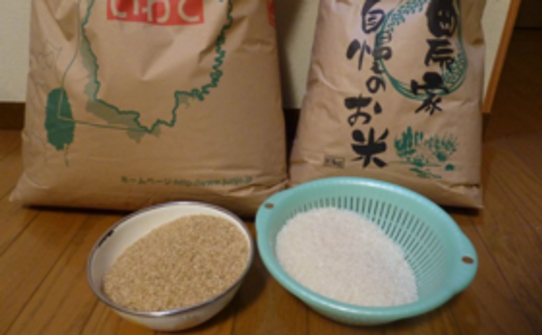 玄米～ひとめぼれ特別栽培米～20kg