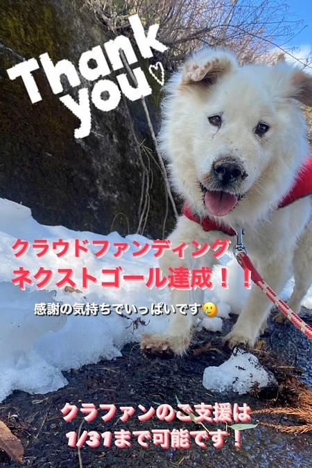 【感謝】ネクストゴール達成ありがとうございます！