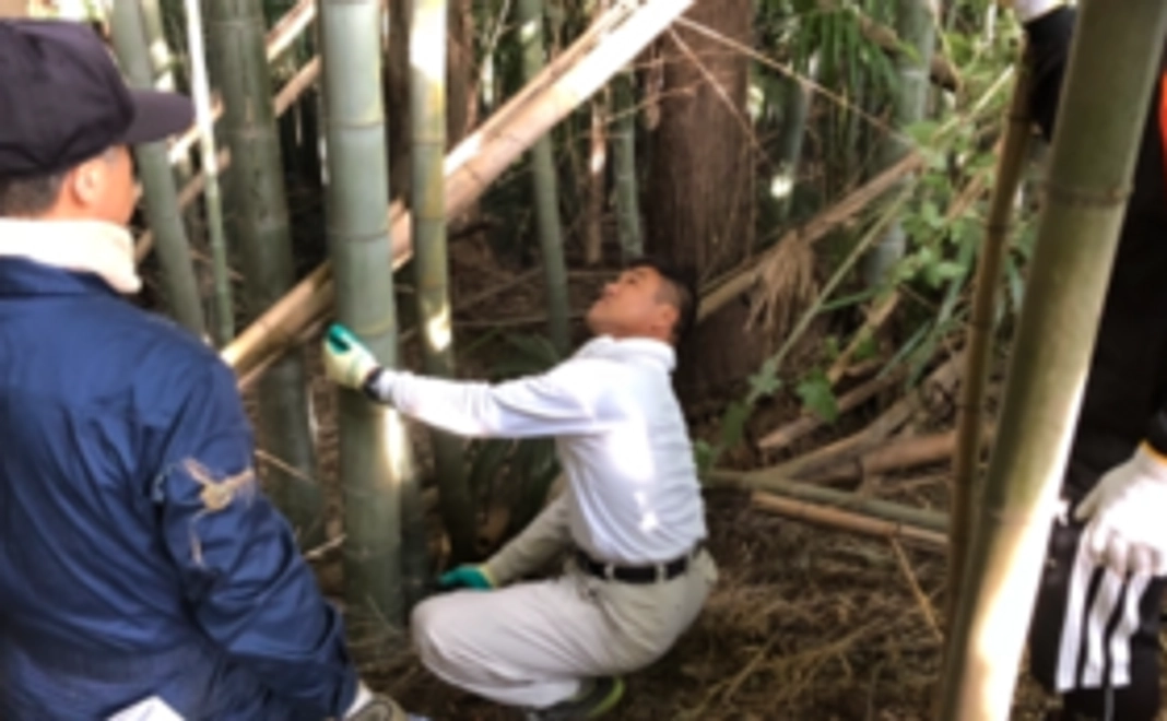 お気軽支援コース