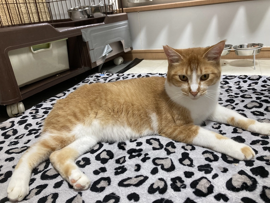 ホリエモン君のこと