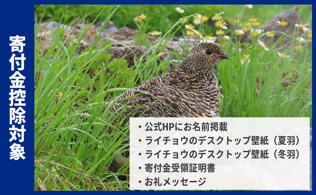 【寄付金控除対象】ライチョウ保全コース｜30,000円