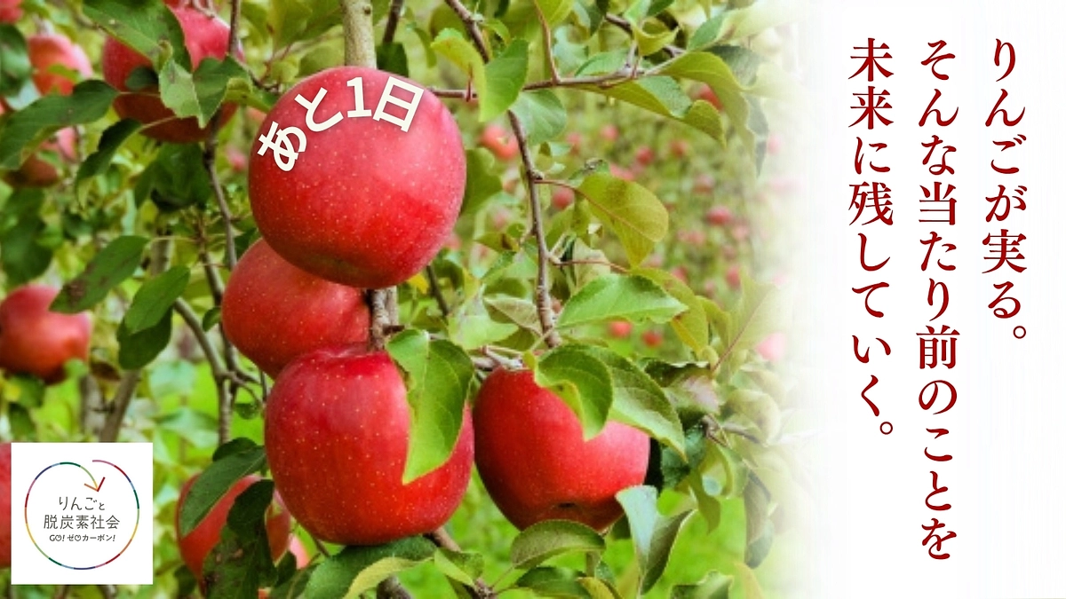 【あと1日！】危機に立つ信州りんごを、地域の力で守りたい！支援の輪を広げるラストスパート