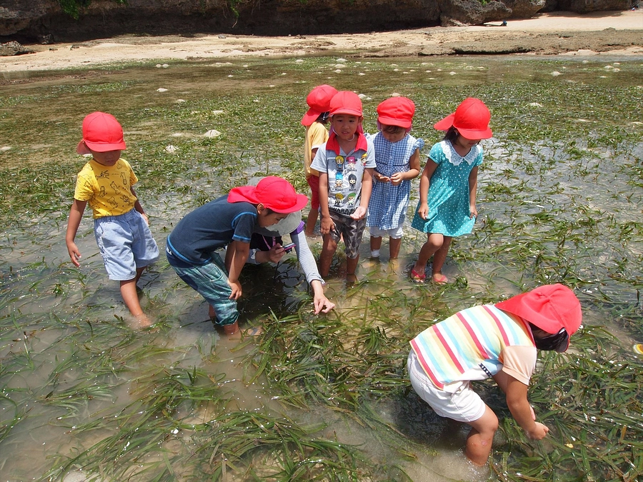 ④ 子どもたちとの観察が始まった！
