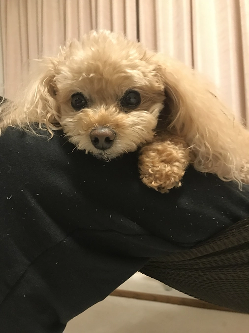 まだまだ道程は遠く