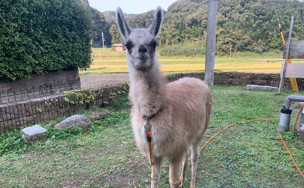 お気持ちコース｜3,000円