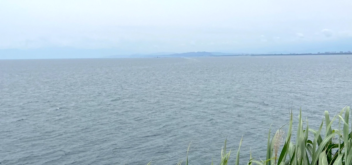 「自殺願望が消えません。学校にも行けなくなったのに、普通の職場で働ける気が全くしません」