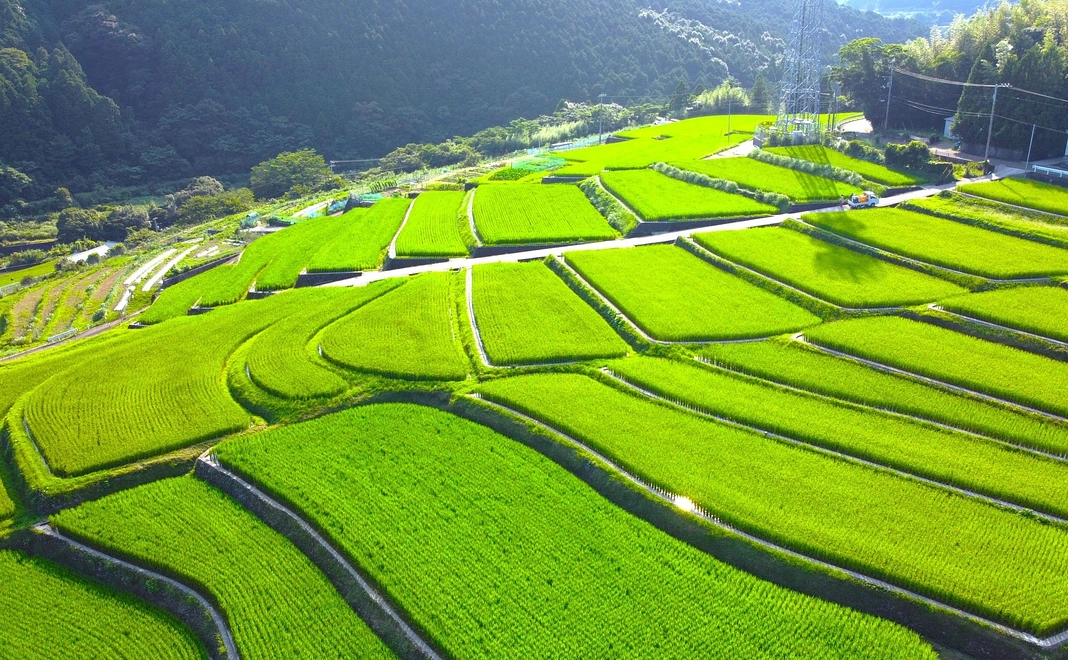 感謝のお手紙のついたフォトブック