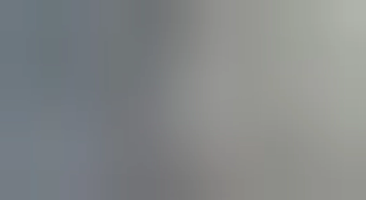 毎日仕事から帰宅するとゾロゾロと集まって来ます…😸